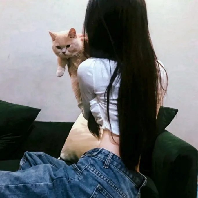行动倒数